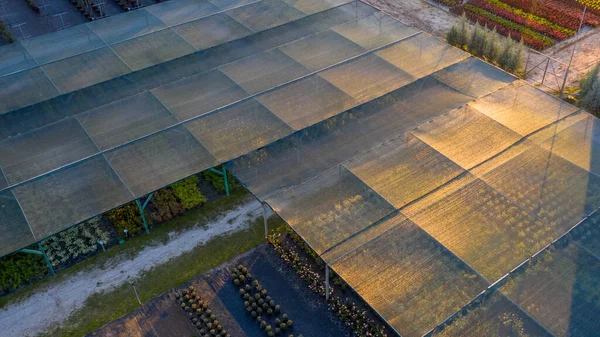 Loja Com Uma Ampla Gama Plantas Ornamentais Para Paisagismo Vista — Fotografia de Stock