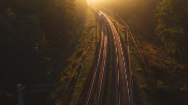 Sonbaharda demiryolu şafakta bulanık bir orman.