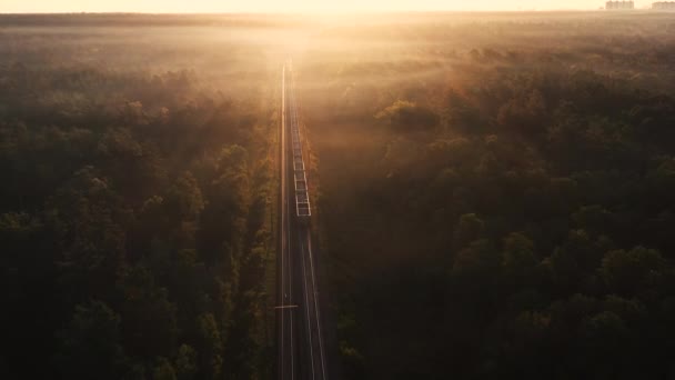 Ferrocarril en otoño bosque borroso al amanecer — Vídeos de Stock