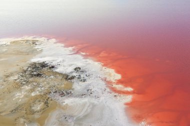 Pembe Göl 'ün tuzlu kıyıları. Turistik bölge. Gül suyu ve kir iyileştirici özelliklere sahiptir. Doğal arkaplan veya doku.