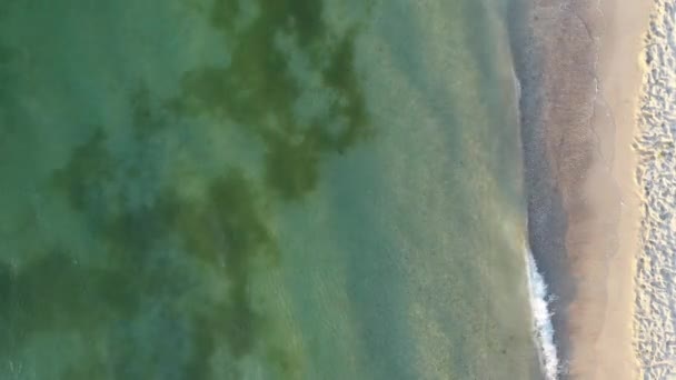 열 대 지방의 순록 해변. 인기있는 관광지. — 비디오