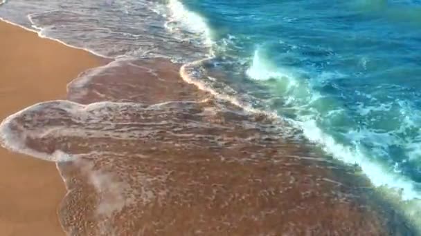 Trópusi karibi strand. Népszerű idegenforgalmi célpont. — Stock videók