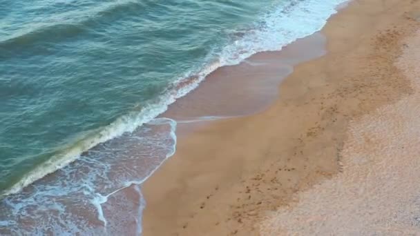 Тропический карибский пляж. Популярное туристическое направление. — стоковое видео
