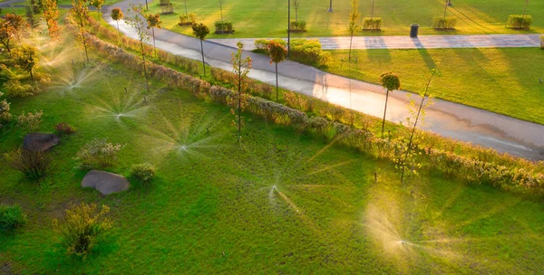 Sistema Automático Rega Irriga Relva Relvado Outras Plantas Parque Amanhecer — Fotografia de Stock