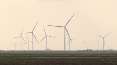 Şafak vakti sisli bir ormanın üzerinde bir İHA 'nın yavaş uçuşu. Sakin, saf ve rahatlatıcı bir atmosfer..