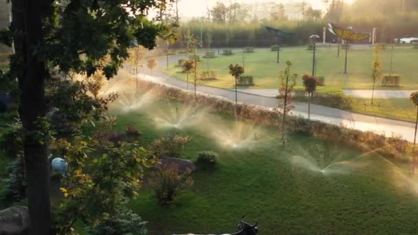 Système Arrosage Automatique Irrigue Herbe Pelouse Autres Plantes Dans Parc — Video