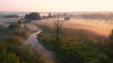 Sisli bir çayır ve nehir üzerinde yavaş bir uçuş. Güneşin ışınları siste parlıyor.