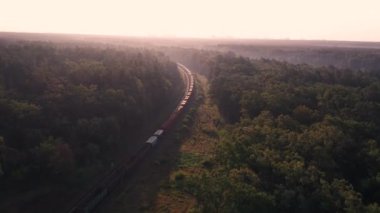 Sisli bir çayır ve nehir üzerinde yavaş bir uçuş. Güneşin ışınları siste parlıyor.