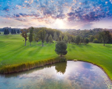 Harika bir yaz sabahı manzarası, gölün yakınındaki yeşil çayırda tek bir ağaç..