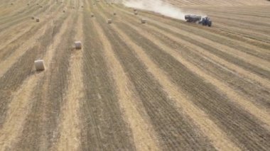 Sahada yuvarlak saman balyaları, mavi gökyüzünün arka planında