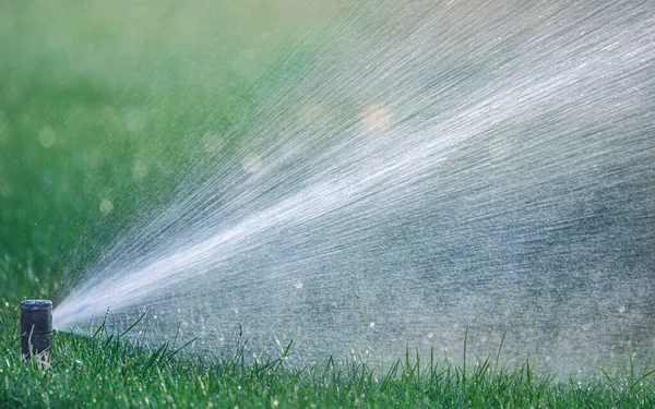 Automatic Watering System Irrigates Lawn Grass Other Plants Park Dawn — Stock Photo, Image