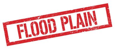 FLOOD PLAIN kırmızı grungy dikdörtgen mühür işareti.