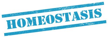 Mavi grungy dikdörtgen damgalı HOMEOSTASIS metni.