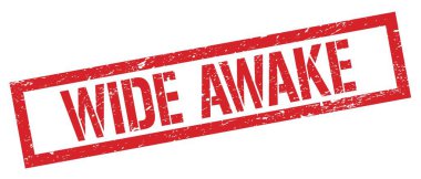 WIDE UYARI kırmızı grungy dikdörtgen mühür işareti.