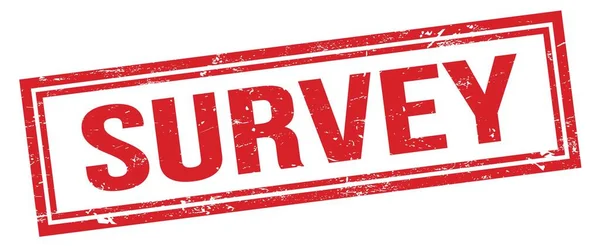 Survey Red Grungy Rectangle Stamp Sign — Stock Photo, Image