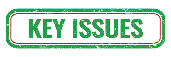 Key Issues Green Grungy Rectangle Stamp Sign — Stock Photo, Image
