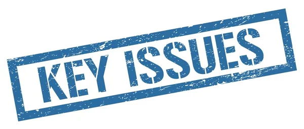 Key Issues Blauwe Grungy Rechthoek Stempel Teken — Stockfoto