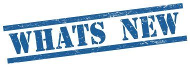 Mavi grungy dikdörtgen vintage damga üzerine YENİ metin.