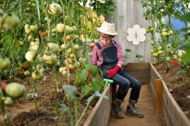 Serada şapkalı şirin bir çocuk bahçeyle uğraşıyor.