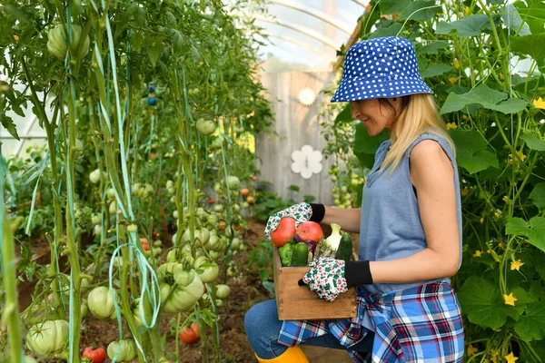 Sarı Çizmeli Şapkalı Serada Bahçe Işleriyle Uğraşan Domates Diğer Sebzeleri — Stok fotoğraf