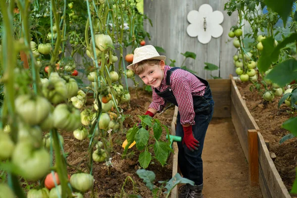 Serada Şapkalı Şirin Bir Çocuk Bahçeyle Uğraşıyor — Stok fotoğraf