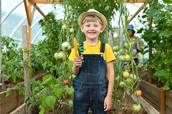 Little Boy Tool Greenhouse Ready Gardening Business Royalty Free Stock Photos