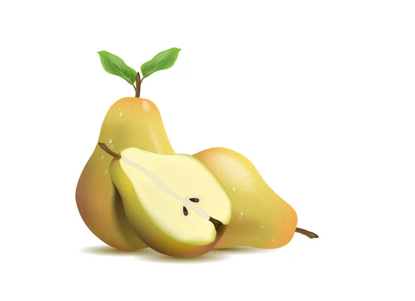 Realistisk illustration päron isolerad på vit bakgrund — Stock vektor
