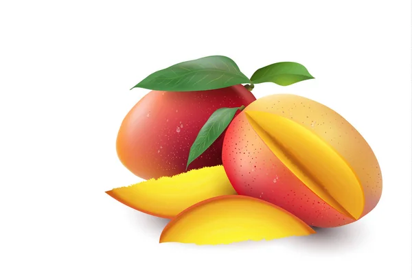 Mango. Hela och bitar. Ställ 3D vektor illustration. — Stock vektor