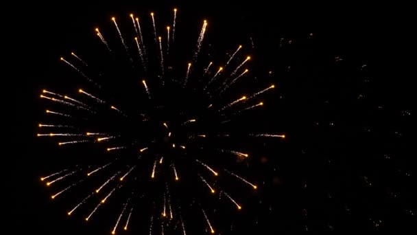 Kleurrijke vuurwerk op vakantie. Slow motion — Stockvideo