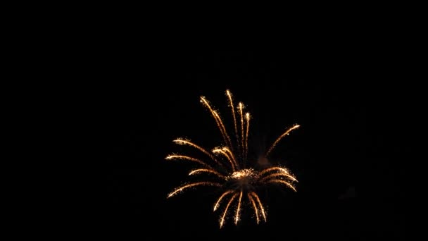 Feux d'artifice colorés pendant les vacances. Mouvement lent — Video