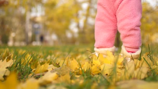 Pés de bebê caminhar ao longo das folhas de outono . — Vídeo de Stock