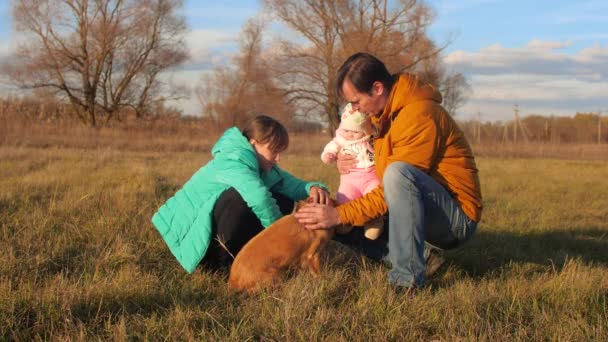 Pappa och barnen klappa hund i äng. — Stockvideo