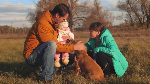 Vader en kinderen pat hond in weide. — Stockvideo