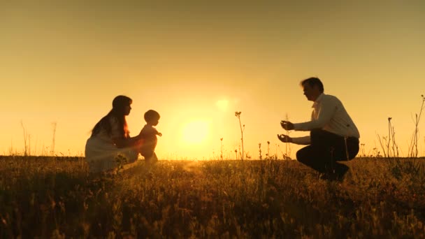 Joven familia asiática en un campo con un bebé 1 año en la mano, el concepto de felicidad familiar, hermosa luz del sol, puesta de sol, cámara lenta — Vídeos de Stock