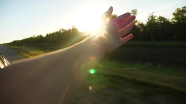 Дівчина махає з вікна автомобіля і ловить сонце, повільний рух — стокове відео