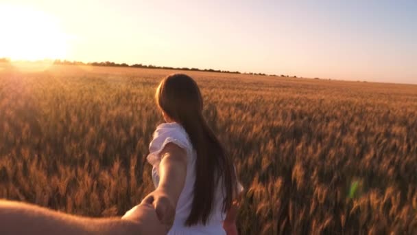 Chica riendo corre por el campo con trigo sosteniendo una mano de hombre en el resplandor del sol dorado. Movimiento lento . — Vídeos de Stock