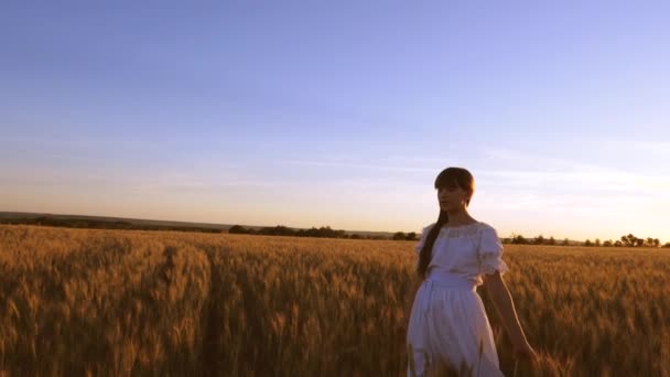 Krásná dívka chodí přes pole s zlaté pšenice v západu slunce záře a smill. Zpomalený pohyb — Stock video