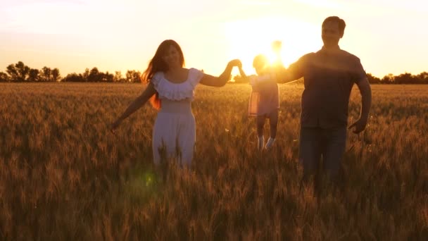 Niño feliz con mamá y papá caminando en el campo con trigo en rayos de dorado atardecer y riendo . — Vídeos de Stock