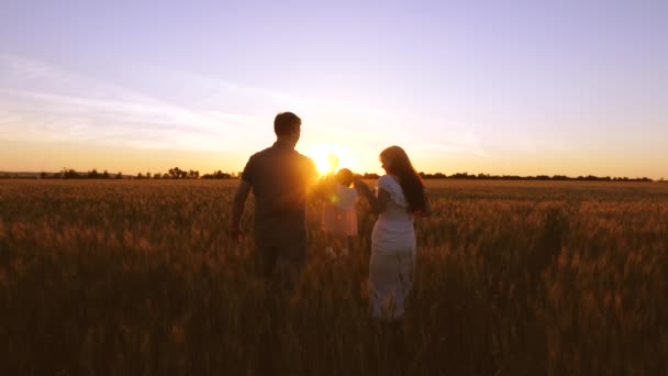 Ребенок с родителями гуляет по полю с пшеницей в лучах золотого заката . — стоковое видео