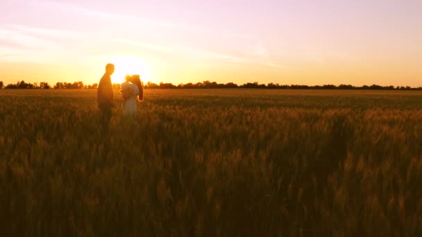 Mamá, papá y el pequeño bebé caminan en el campo de trigo dorado en los rayos de la puesta del sol . — Vídeo de stock