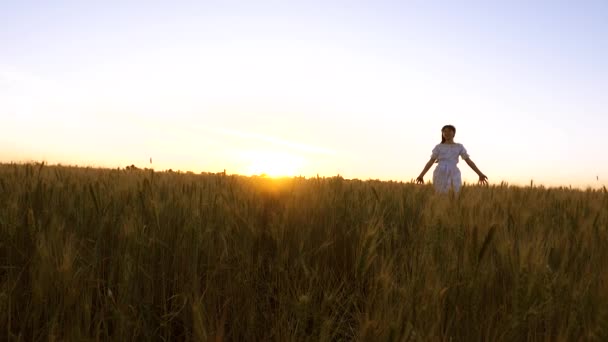 Menina bonita correu e jimp fnd smill através do campo com trigo dourado no pôr do sol brilhar e ferver. Movimento lento — Vídeo de Stock