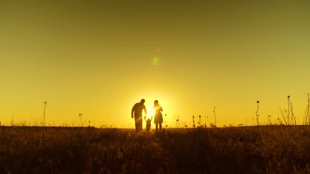 Happy parents hold baby hands and walk across field to sunset of golden sun. — Stock Video