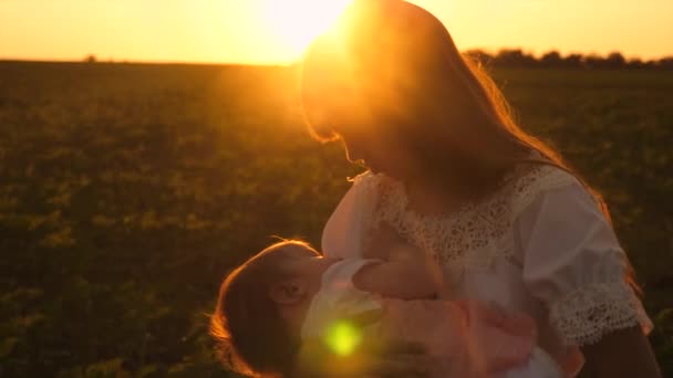 Kleines Baby schläft auf Mamas Händen beim Abendspaziergang, die goldenen Strahlen des Sonnenuntergangs. — Stockvideo
