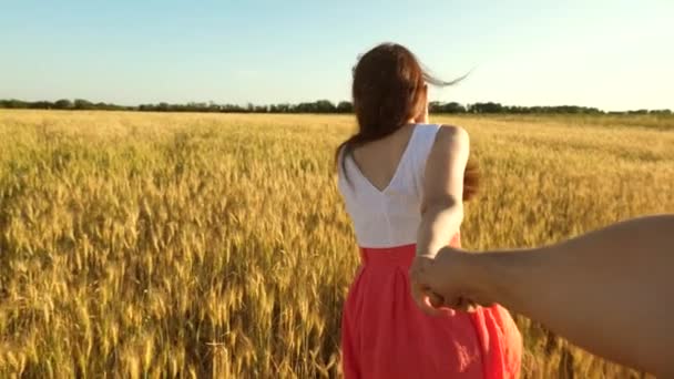 Дівчина з довгим волоссям біжить по полю з пшеницею, тримаючись за кохану руку, сміється і дивиться назад на нього. Повільний рух — стокове відео