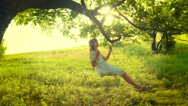 Gelukkig meisje met lang haar, swingen op schommel in heldere stralen van gouden zonsondergang en lachend. Slow motion — Stockvideo