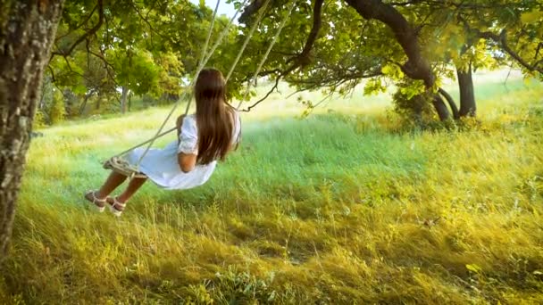 Mooi meisje met lang haar op een schommel swingende en lachen in een zomer-park. Slow motion. — Stockvideo