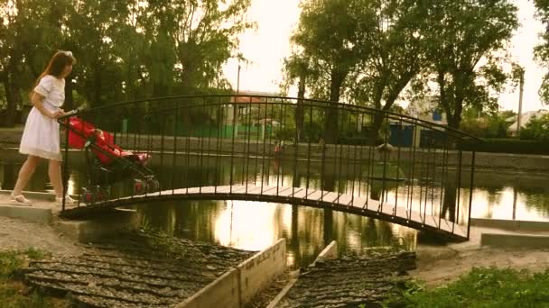 Mutter mit Baby spaziert im Sommerpark mit Kinderwagen über Brücke. Zeitlupe — Stockvideo