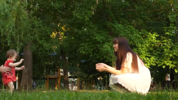 A filhinha dá os primeiros passos para conhecer a mãe rindo na grama do gramado no parque. Mamãe beija bebê na bochecha e mata. Movimento lento — Vídeo de Stock