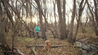 Av köpeği ile parkta genç kız yürüyor
