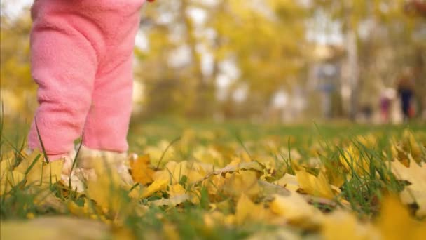 Маленькие ножки малыша гуляют по осенним листьям в парке — стоковое видео
